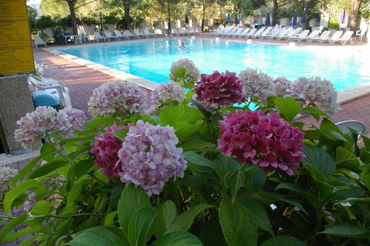 Camping Village Punta Navaccia Tuoro sul Trasimeno Exterior foto
